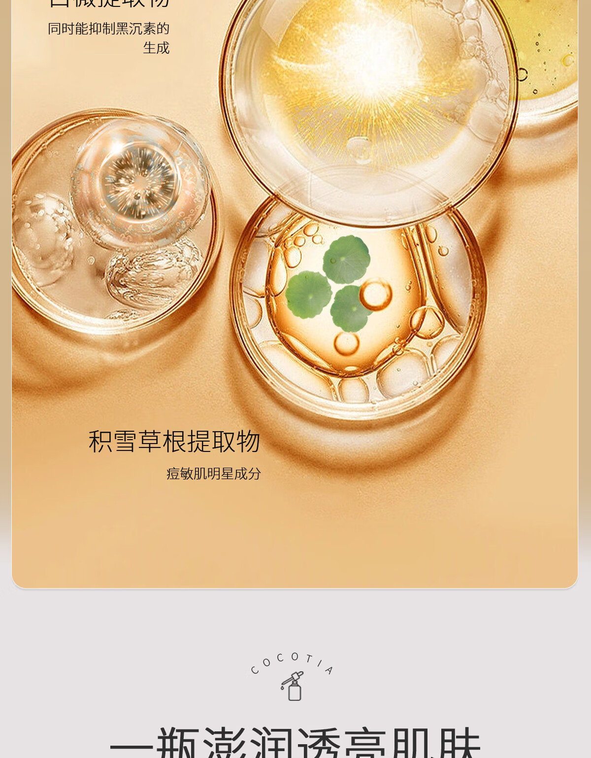 可可缇亚 壬二酸精华祛痘印淡化黑红色痘印修护舒缓痘肌杜鹃花原液COCOTIA 30ml