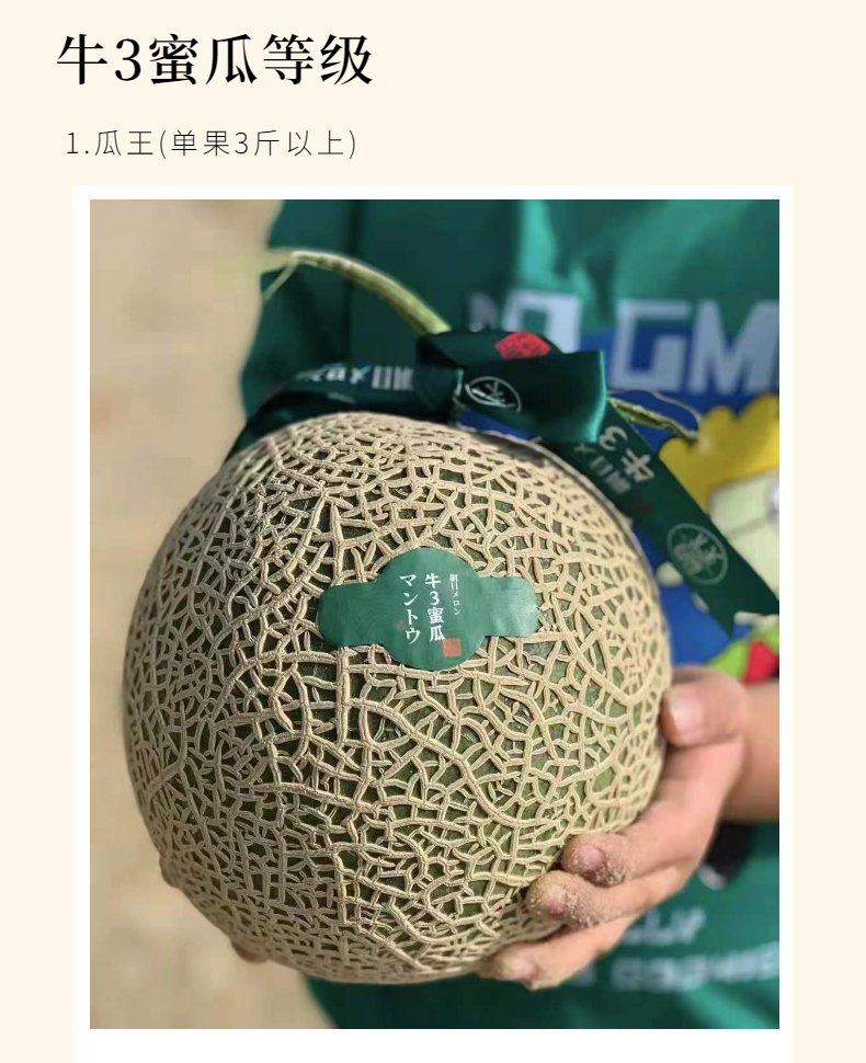 海南牛3蜜瓜牛三密瓜礼盒装冰淇淋口感网纹哈密瓜新鲜应季水果口口