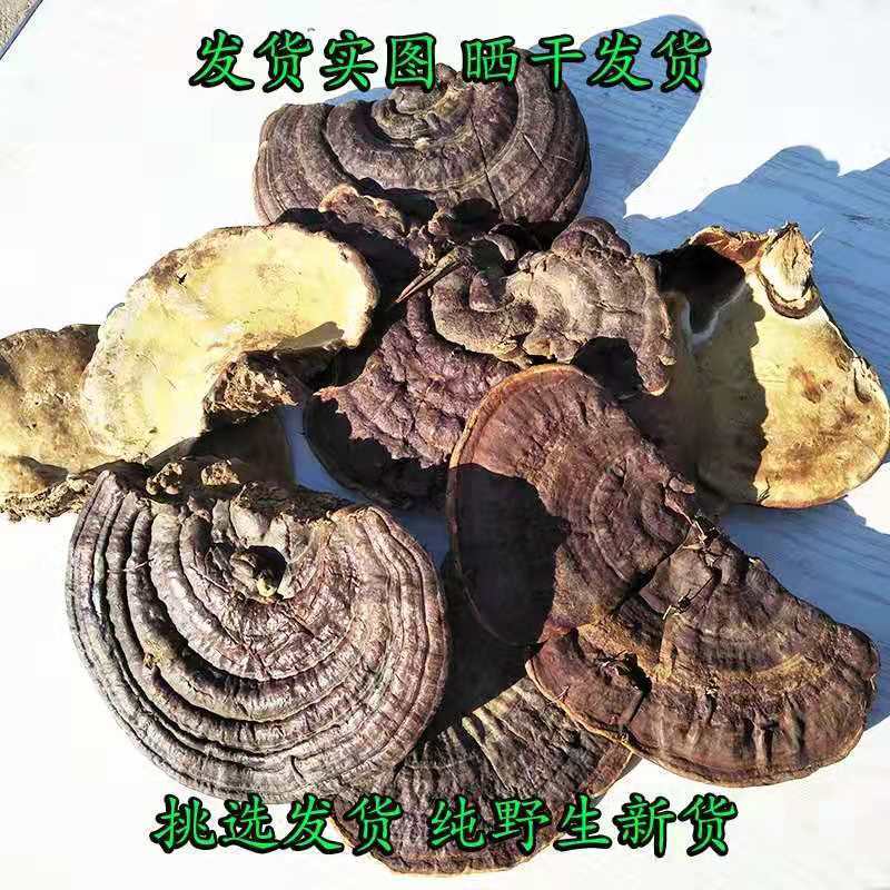 花初醒精选无柄赤灵芝深山正宗老大整芝切片批发煲汤泡酒料10厘米以上