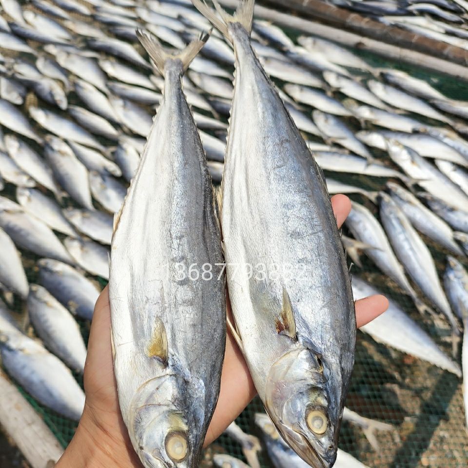 伟博马鲛鱼干海鲜干货咸鲅鱼干风干鱼青占鱼腌制咸鱼海鱼500g