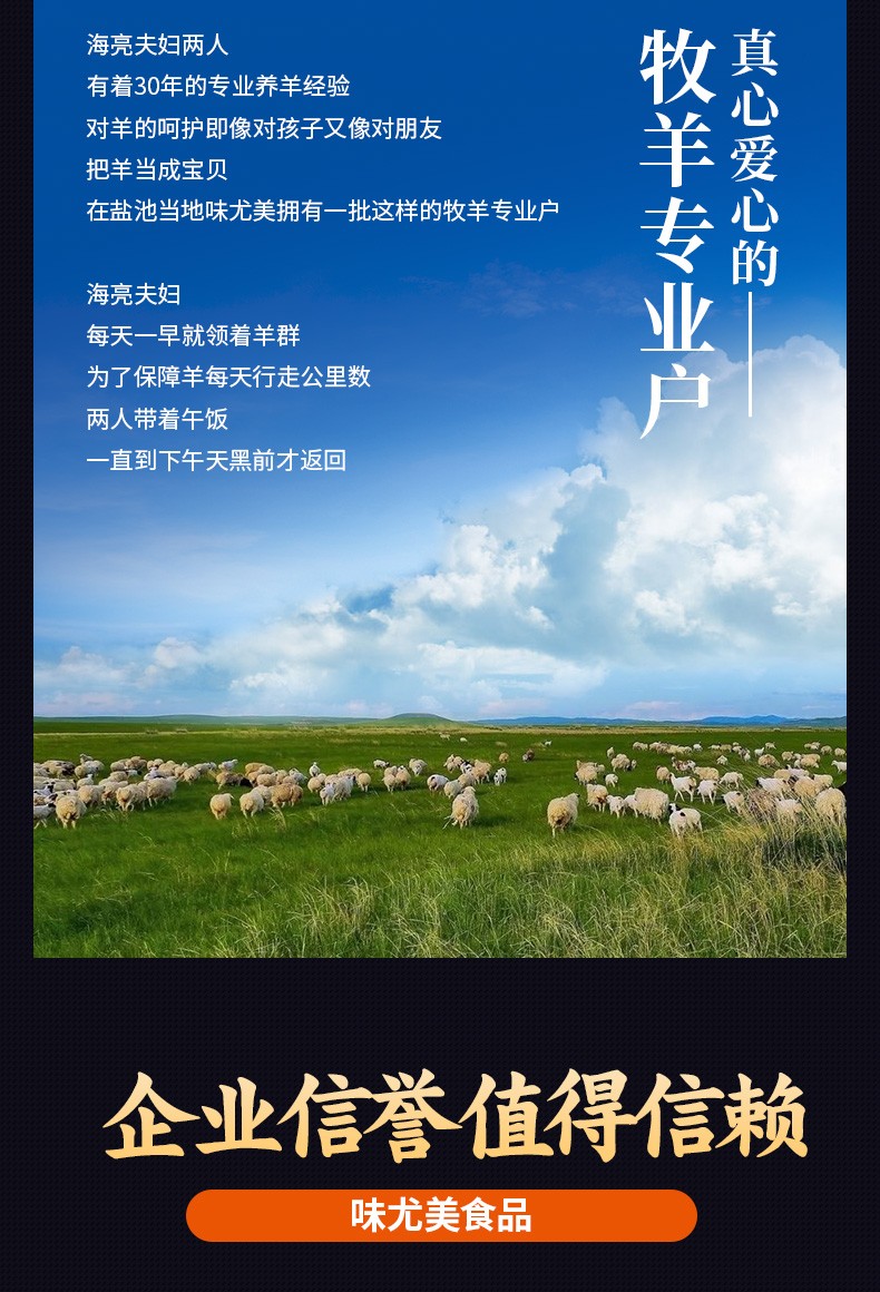 味尤美盐池羊肉脯宁夏滩羊肉干零食108g孜然手抓卤汁羊肉熟食即食宁夏