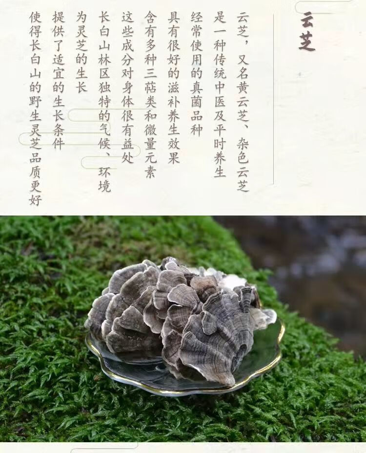 云芝蘑 白底云芝清 青芝 灵芝 整枝 精选野生云灵芝250克【图片 价格