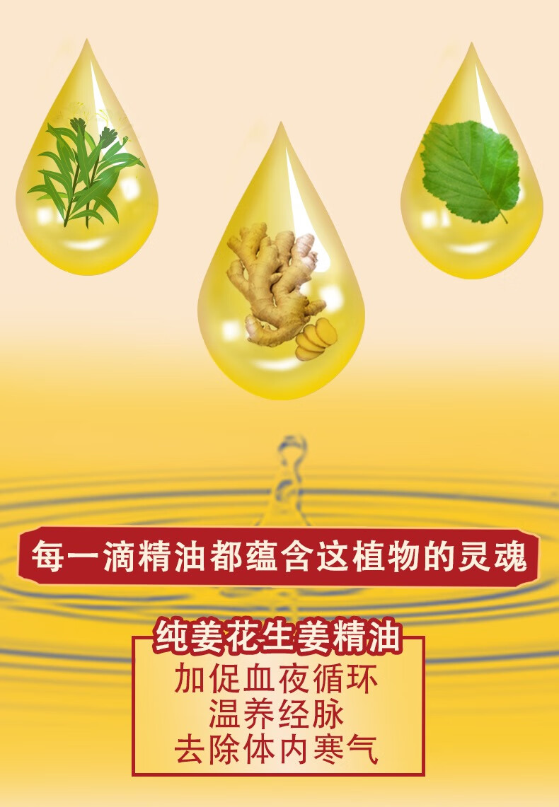 佰芳源老生姜全身按摩精油通经络发热开背推背刮痧推拿油肩颈美容院专用 老姜精油500ml【送穴位+擀筋棒】