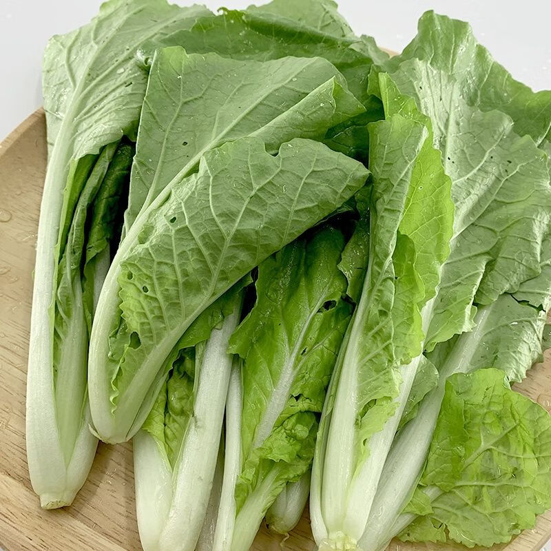 云南高原新鲜蔬菜黄心小白菜时令蔬菜绿色蔬菜现摘现发3斤5斤精选泡沫