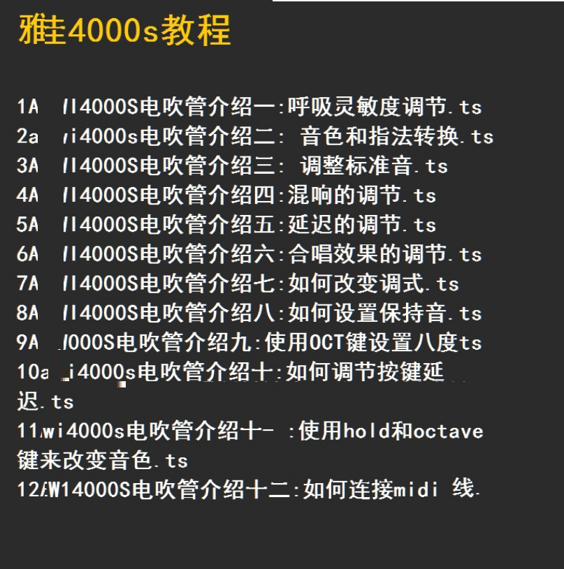 60罗兰ae105雅佳乐器电吹管教程学习教材视频45000初学者入门非罗兰