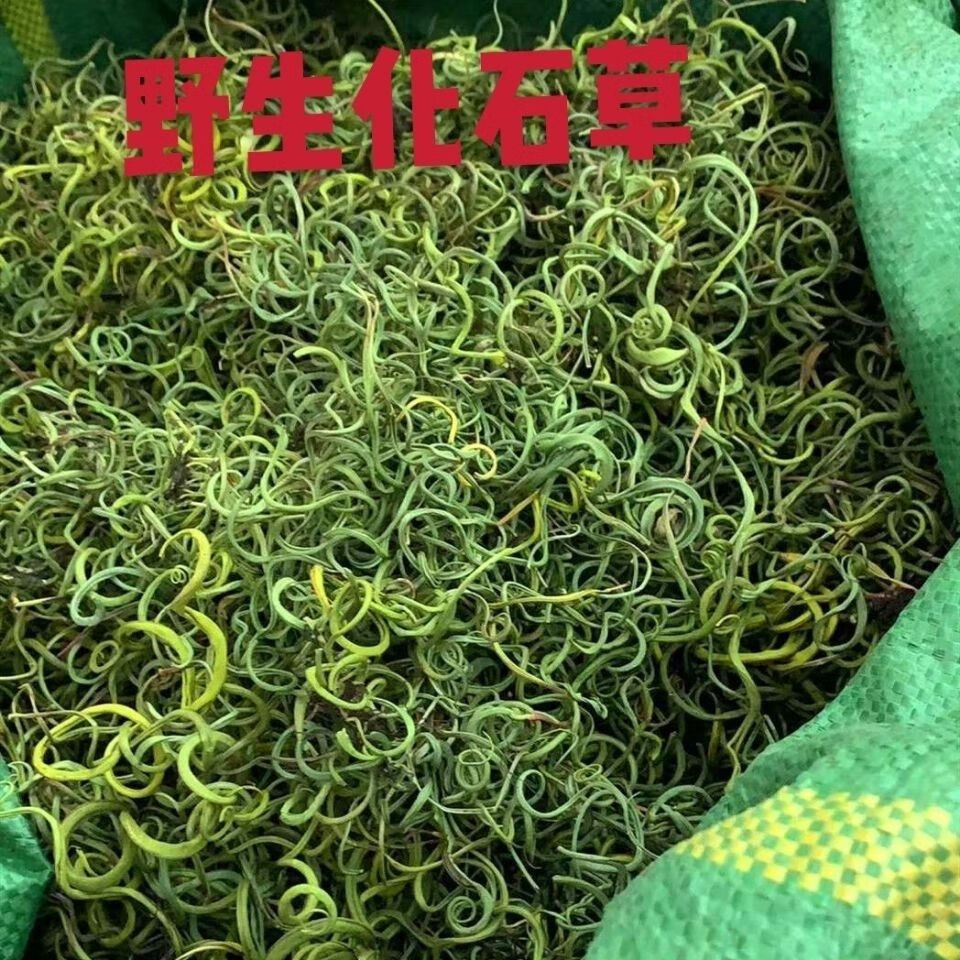 伟博肾精茶 草 小石韦.草.发货 500克 大叶【图片 价格 品牌 报价-