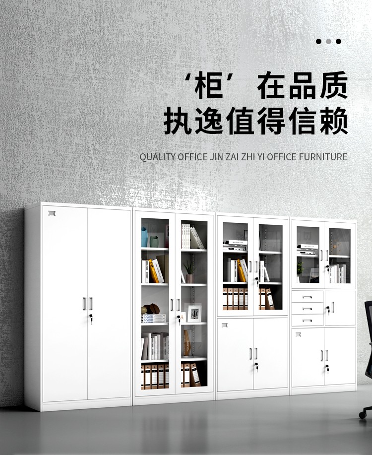 执逸文件柜铁皮柜档案办公资料柜钢制储物柜玻璃柜五节柜办公室柜子 中二斗文件柜 实用款