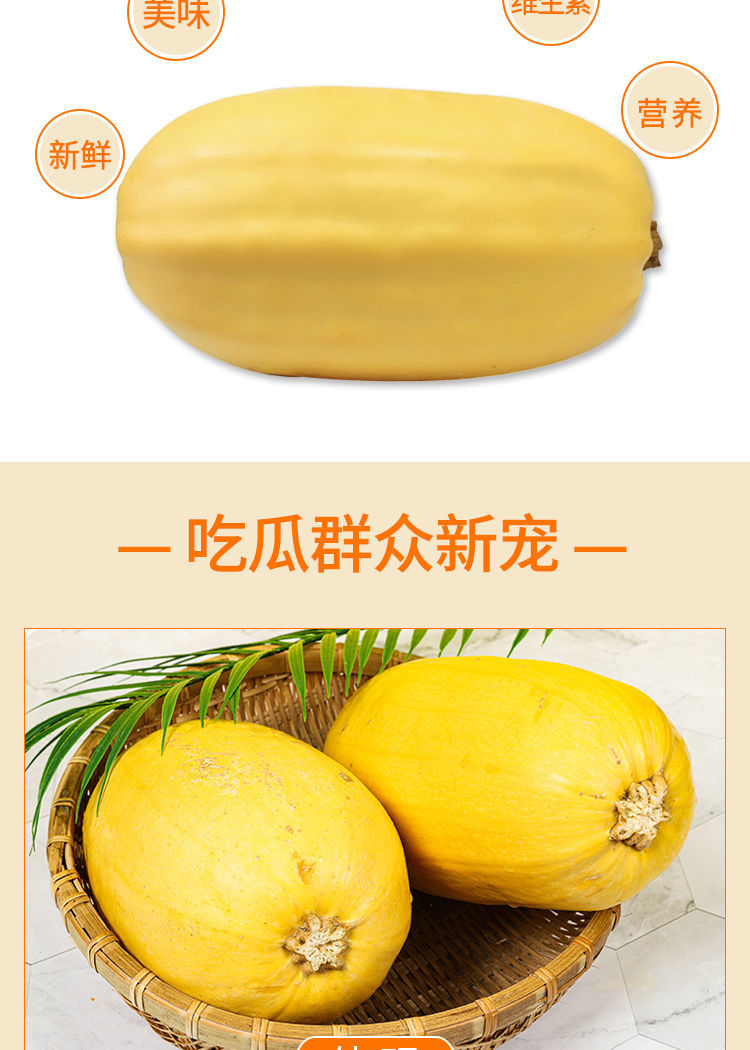 崇明金瓜金瓜金丝瓜拉丝新鲜角瓜搅瓜绞瓜瓜正宗黄金瓜崇明特产新款4