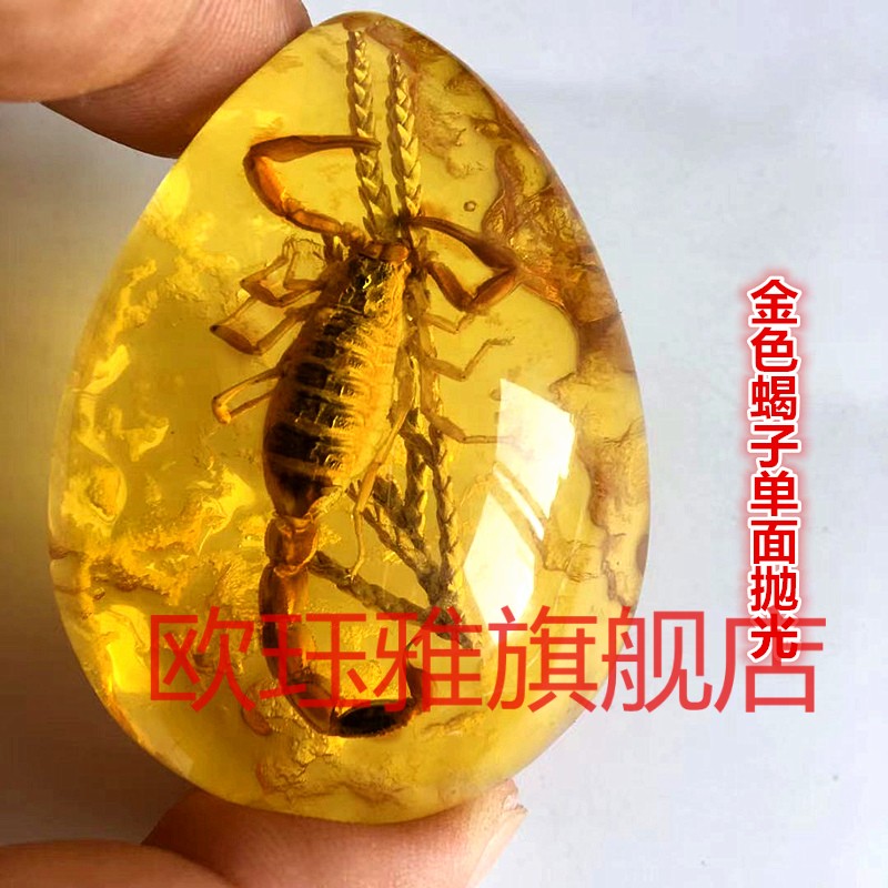 昆虫标本琥珀蝎子蜘蛛项链蝴蝶吊坠知了虫珀原石儿童礼物小学蝴蝶双面