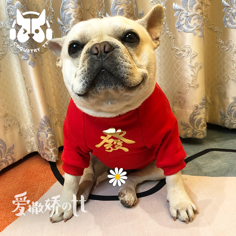 2022虎年狗狗衣服tt宠物拜年过年衣服狗狗猫咪法斗雪纳瑞泰迪新年装