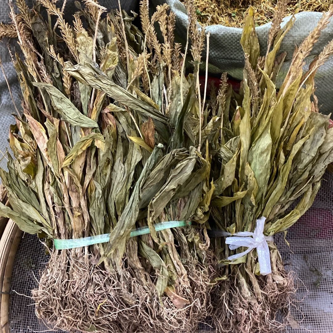见血清中药材野生见血清紫星羊耳蒜走子草50g