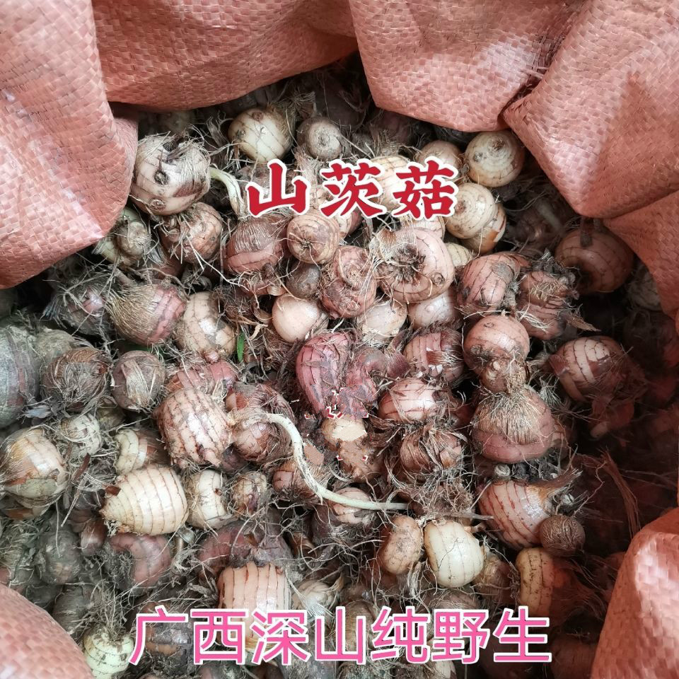 伟博中药材山慈菇山茨菇算盘七冰球子广西野生500g鲜货1斤