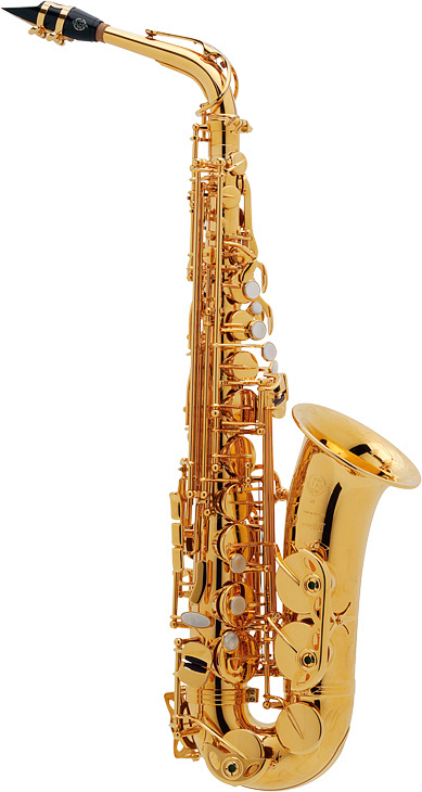 萨尔玛selmer54802降e调中音萨克斯管风乐器级演奏初学考级萨尔玛54漆