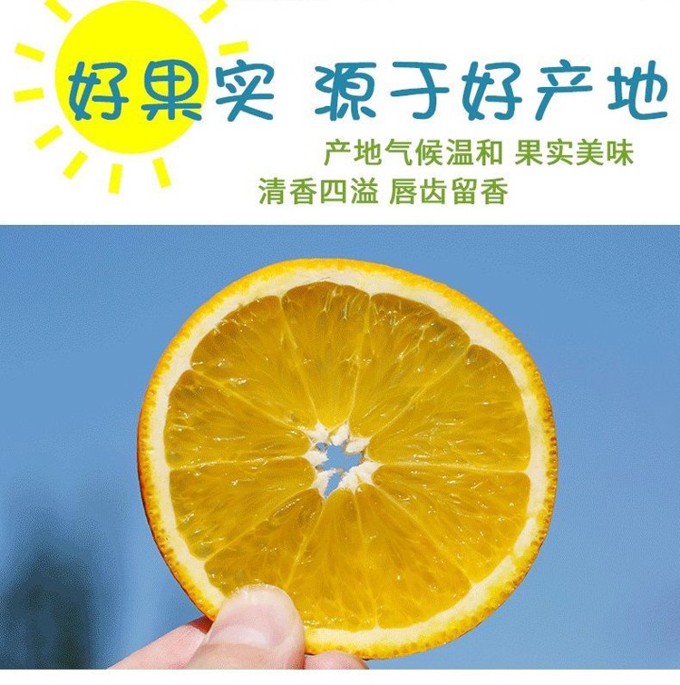 湖南麻阳冰糖橙 高山橙子当季新鲜水果 5斤(单果65mm以上)