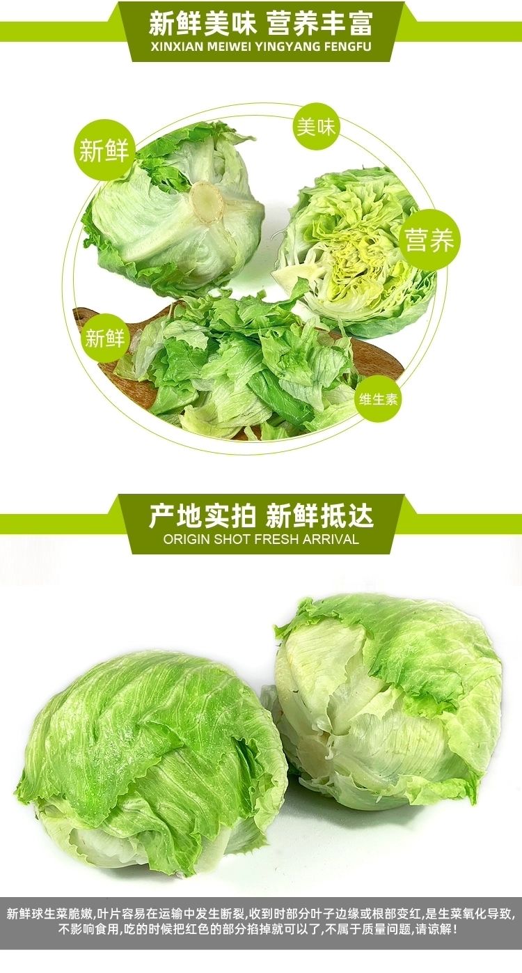 生菜球新鲜蔬菜生吃生菜球生菜新鲜沙拉蔬菜卷心菜生菜批发蔬菜5斤装