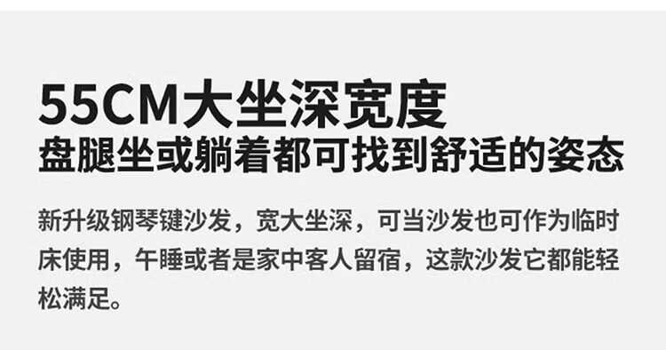 罗籍乐2024新款意式布艺沙发沙发钢猫抓直排沙发双人轻奢琴猫抓皮沙发简约客厅小户型直排轻奢 直排双人位2米 猫抓皮[海绵款]详情图片27