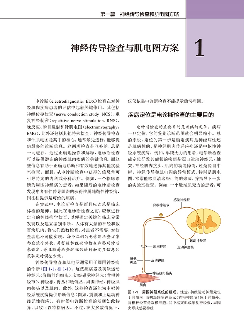 肌电图与神经肌肉疾病从临床到电生理学第3版大卫c普雷斯顿人民卫生