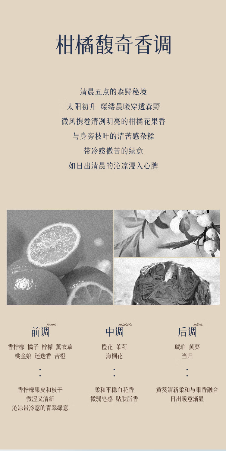 空谷与海香水贩卖日出柑橘香午后悠然木质香月下蔷薇花香送男女友新年礼物 【干净随性木质香】午后悠然