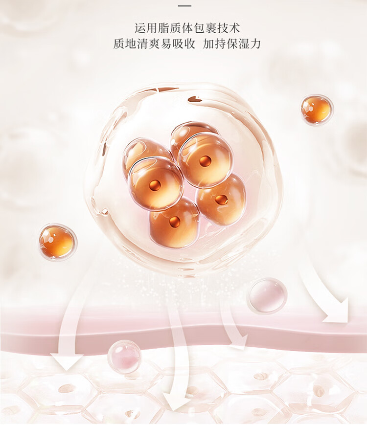 渡美  TUNEMAKERS皮脂膜修护精华神经酰胺红绷带精华2.0补水稳定肌肤修护屏障 皮脂膜修护精华20g(有效期1年半)