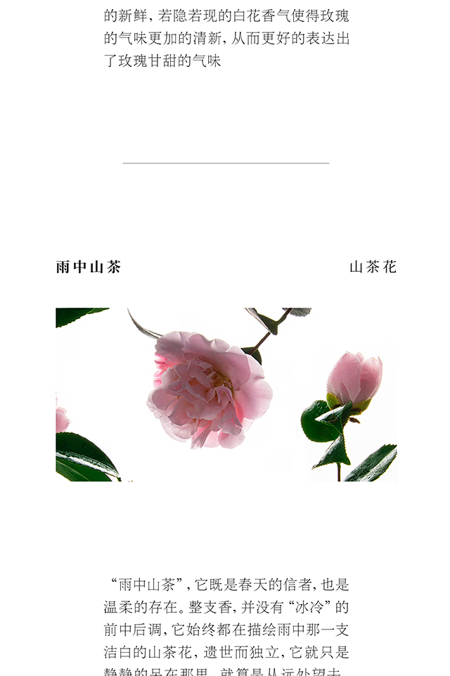 春风十里【38送女神】知花者也花香小样试香礼盒男女士淡香香水分瓶装生 知花者也