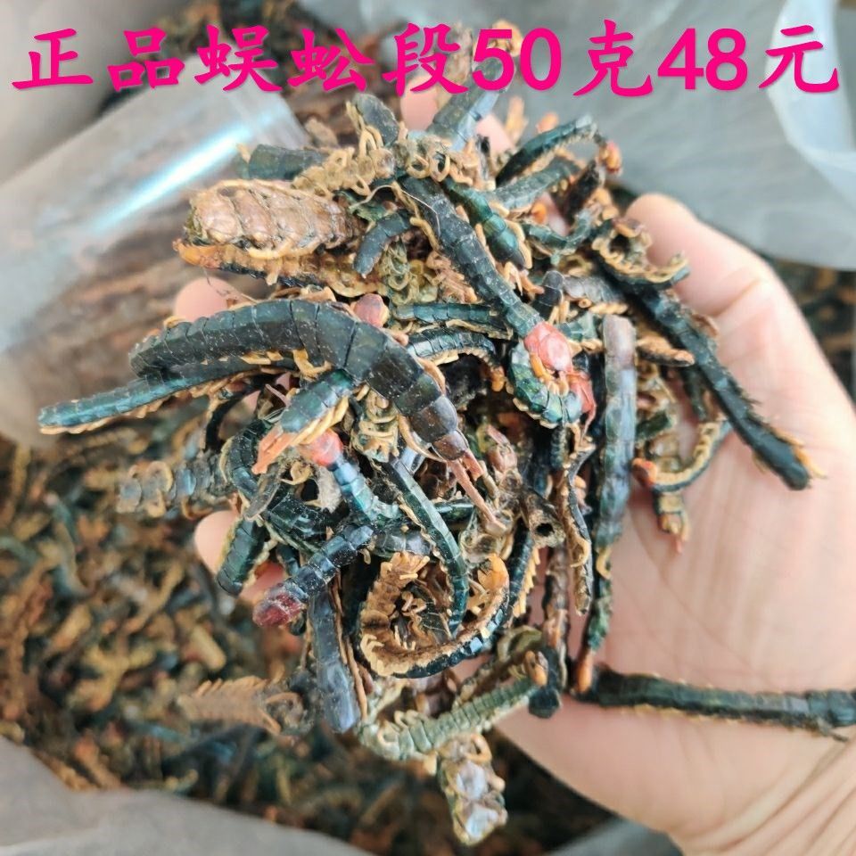 伟博蜈蚣50g蜈蚣肉无竹签蜈蚣干蜈公皮大整条可磨粉售蝎子水蛭蜈蚣段