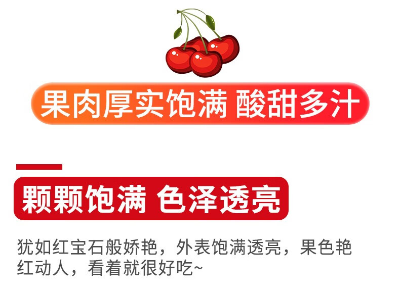 【JD空运】 山东大樱桃 时令生鲜水果 孕妇水果  当季整箱 2500g (24-26mm)