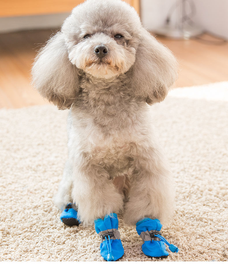 工厂直发小狗狗的鞋子泰迪小型犬宠物比熊防掉鞋套雨鞋防水不掉脚春秋