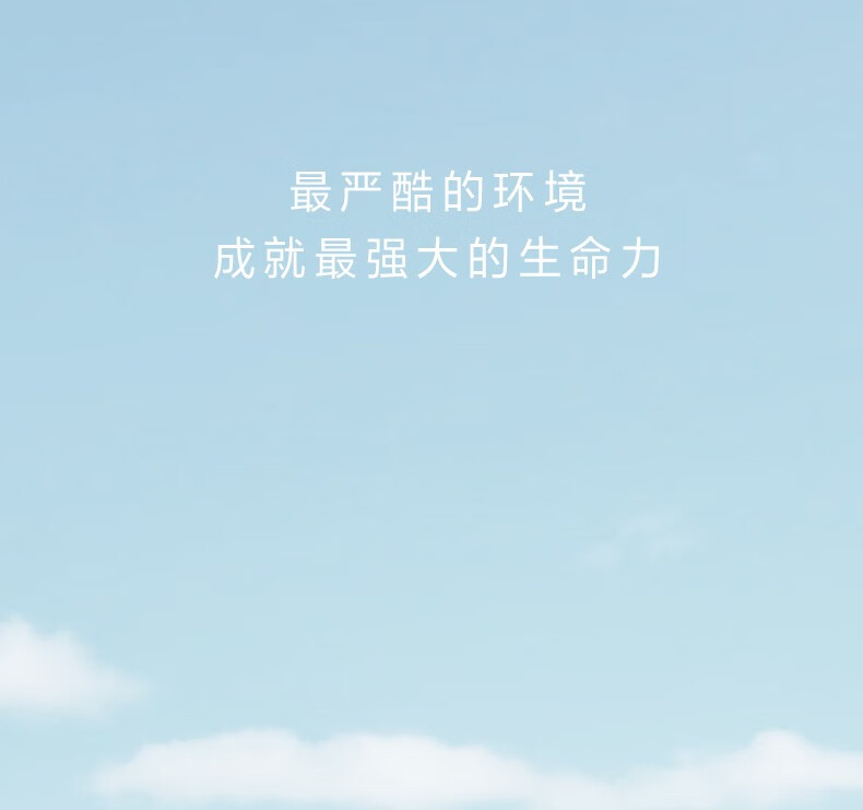 自然堂小紫瓶精华第五代抗皱保湿提亮紧致毛孔滋润修护精华液新年礼物女 小紫瓶精华霜55g