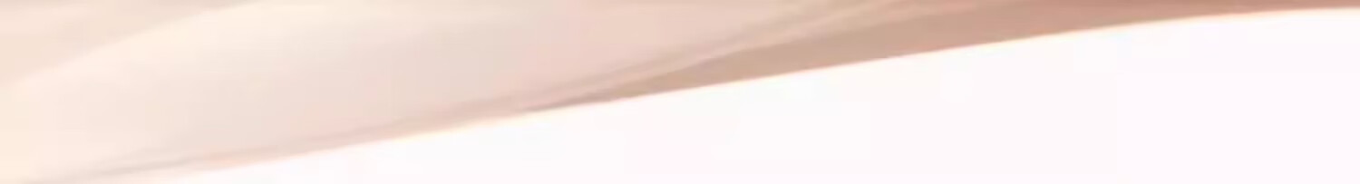 极密全天候气垫粉霜粉底液干皮女遮瑕持久保湿不脱妆bb 自然色（不含替换芯）