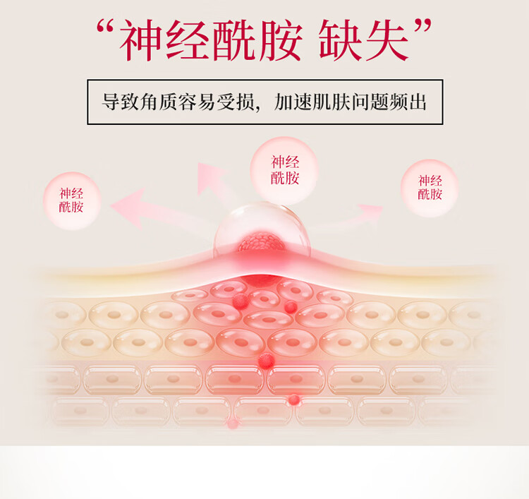 渡美  TUNEMAKERS皮脂膜修护精华神经酰胺红绷带精华2.0补水稳定肌肤修护屏障 皮脂膜修护精华20g(有效期1年半)