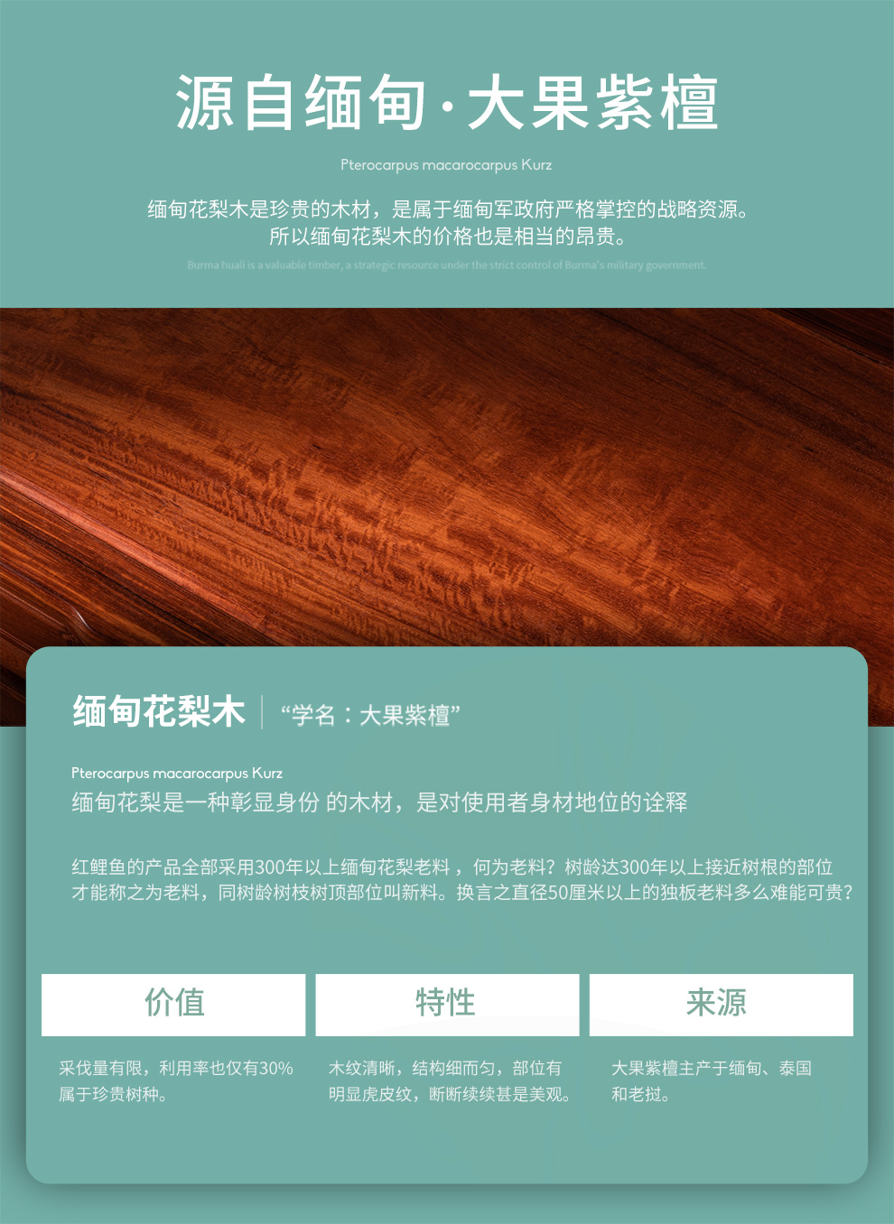 广典红木家具缅甸花梨（学名：大果紫檀）皇宫椅三件套 中式实木圈椅休闲太师椅 实木椅 卧室皇宫椅三件套 皇宫椅三件套2椅 1高几