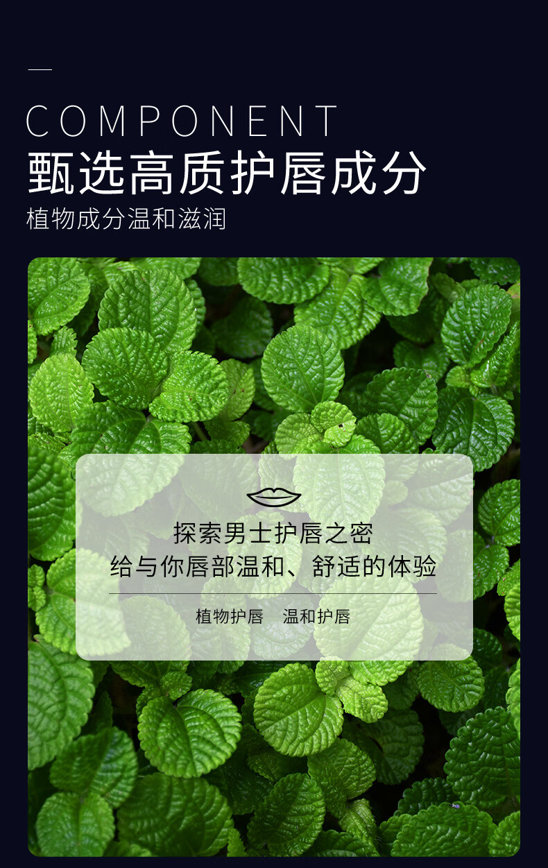 泊泉雅男士唇膏男冬季保湿滋润男生润唇膏防干嘴唇干裂防裂保湿唇油护唇 1支蜂蜜润唇膏+1护手霜