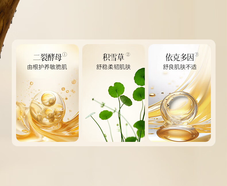 碧素堂松茸菌菇舒缓凝润套装护肤礼盒 八件套