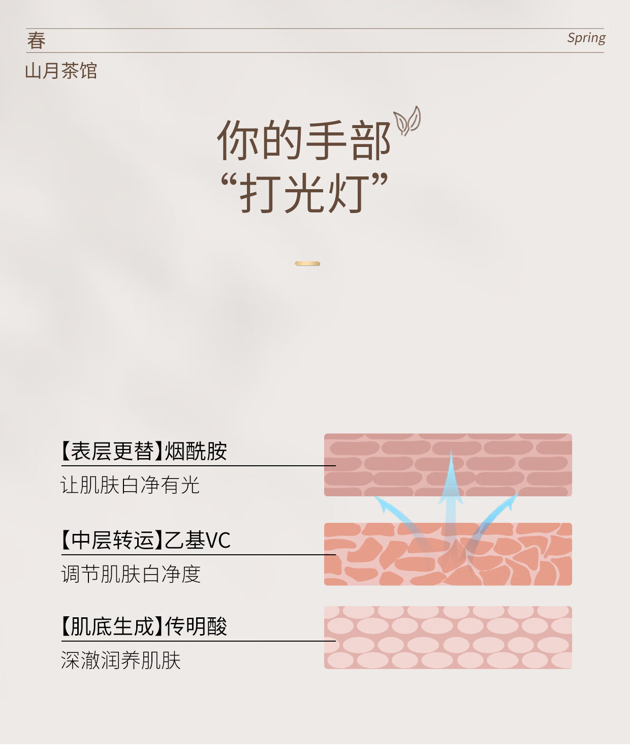 安野屋精油香氛护手霜男女四季防干裂秋冬保湿 （无花果与叶）75g