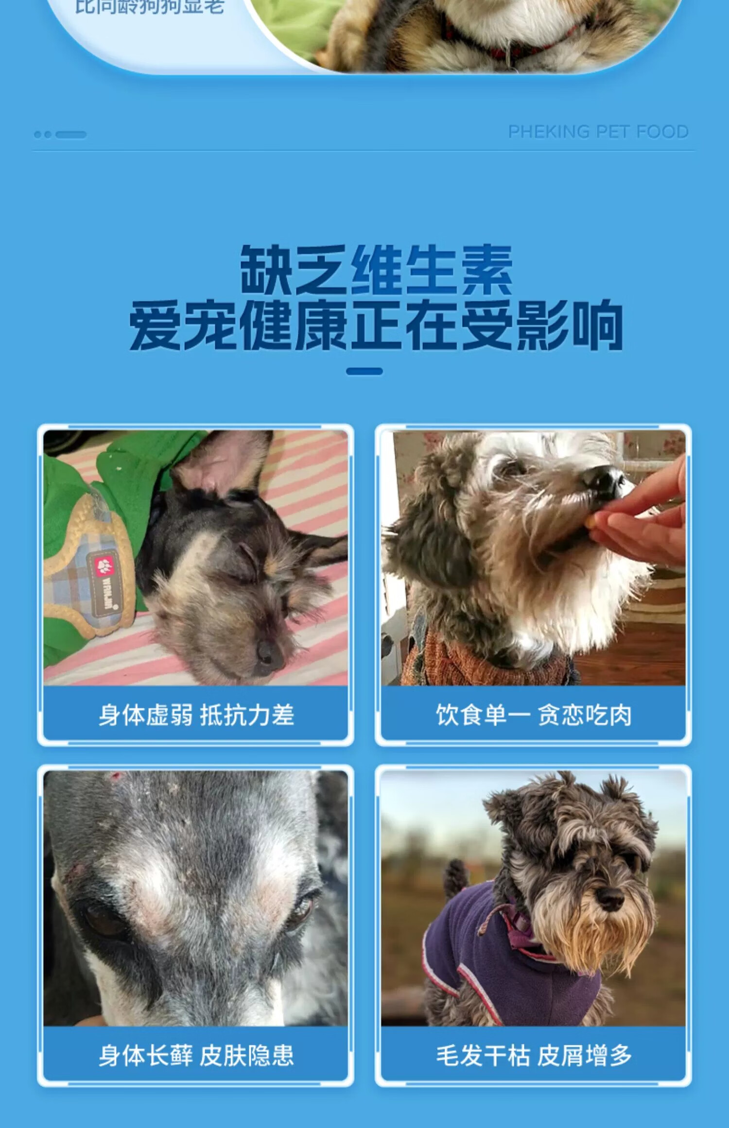 5，雪納瑞專用維生素片防掉毛狗狗用品寵物犬補充維生素B營養品 【買2送2】共4瓶雪納瑞專用維生素片（囤貨钜惠）