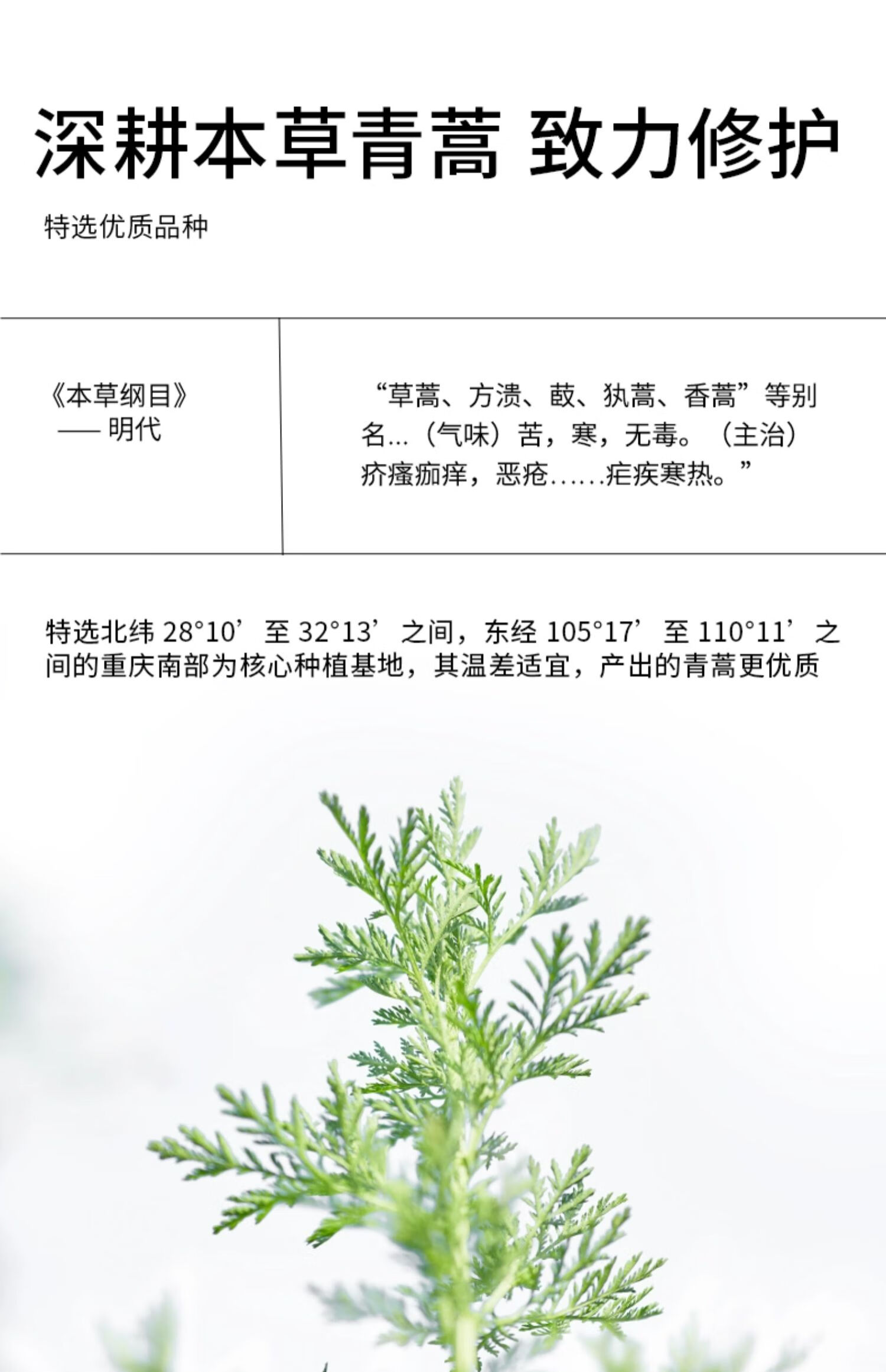 安敏优青蒿次抛修护精华液补水保湿舒缓退红维稳强韧屏障30支/盒 【小白管】维稳精华