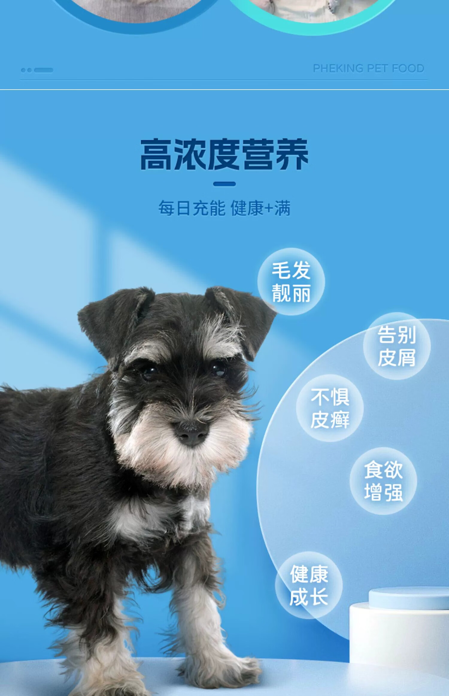 8，雪納瑞專用維生素片防掉毛狗狗用品寵物犬補充維生素B營養品 【買2送2】共4瓶雪納瑞專用維生素片（囤貨钜惠）