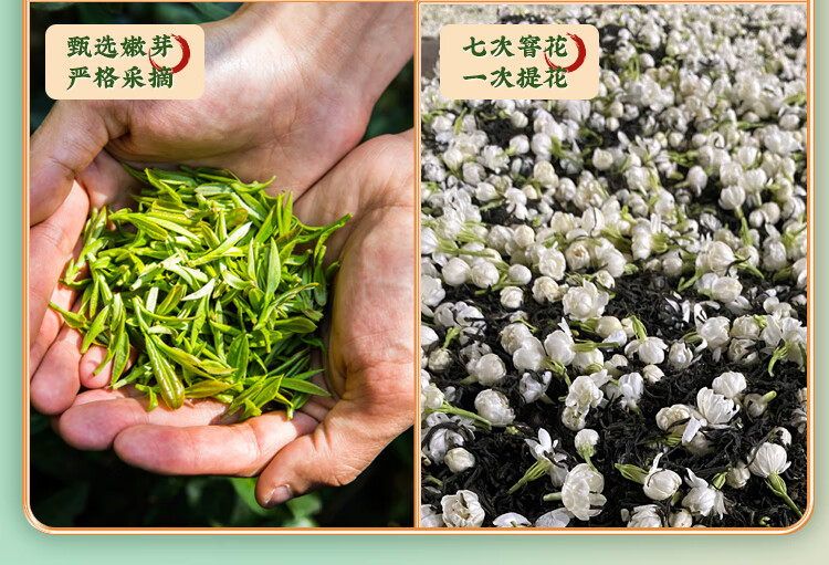 张一元茶叶 特级浓香茉莉花茶香茗50g/袋 中华老字号茗茶 香茗