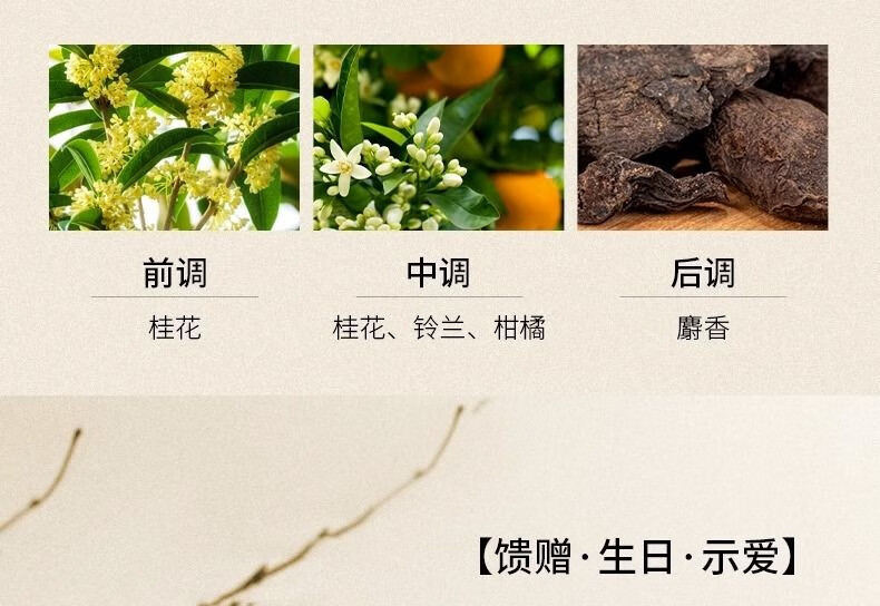 JEAN MISS老牌桂花香水男女士持久留香浓香型金桂玫瑰学生党房间美妆工具 桂花香