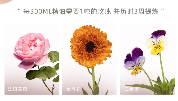 茱莉蔻（JURLIQUE） 茱莉蔻 玫瑰+薰衣草护手霜15ml*2 秋冬滋润保湿补水组合体验装