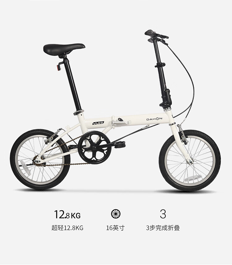 大行（DAHON） 折叠自行车16英寸单速男女式学生自行车上班通勤单车KT610 消光黑