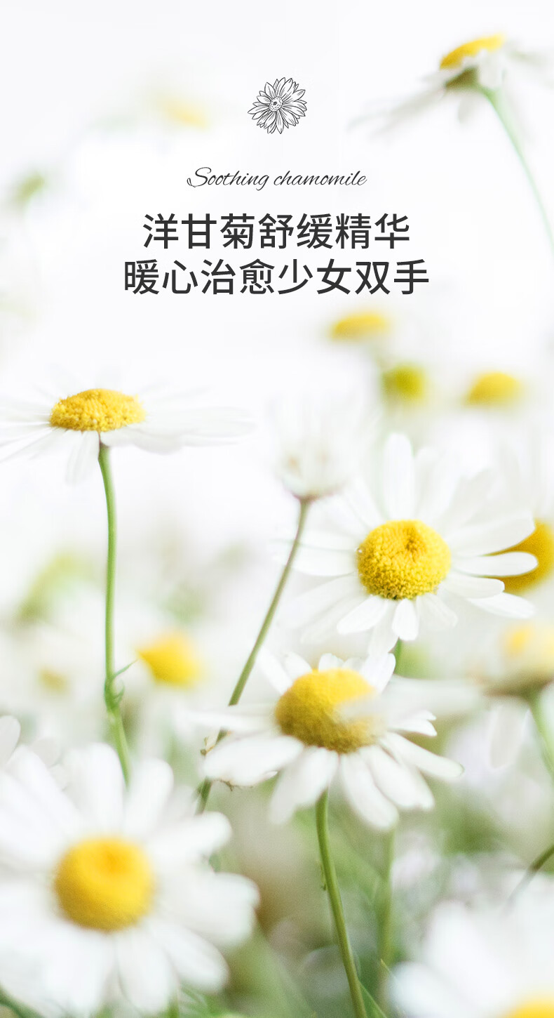 欧丽琦（OULIQI）洋甘菊护手霜男女士滋润保湿秋冬季防干防冻裂凡士林润手霜润肤乳 洋甘菊护手霜 250g X1
