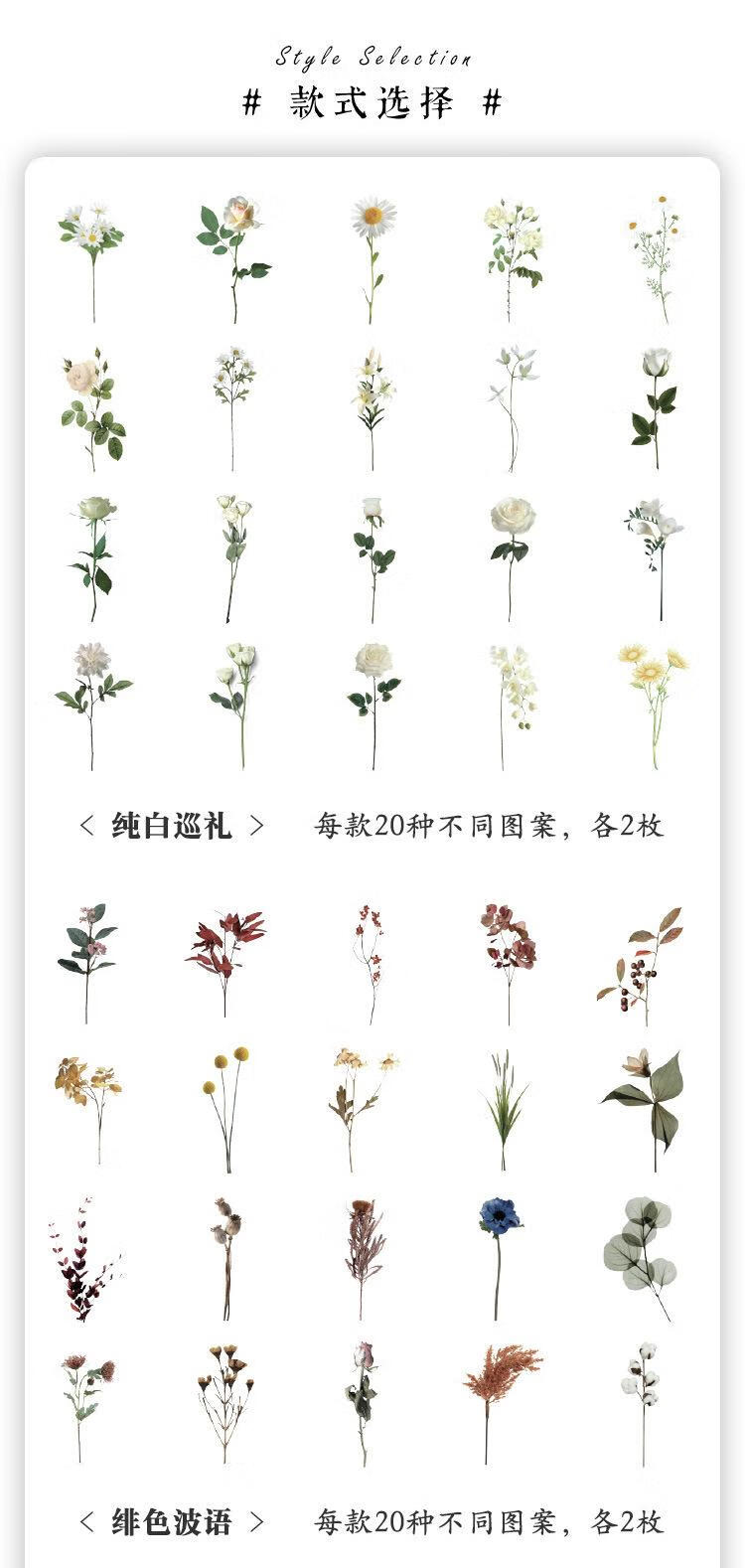 13，自然博物館手賬貼紙包複古兒童手帳貼畫pet花草蝴蝶貼貼紙 純白巡禮-40張