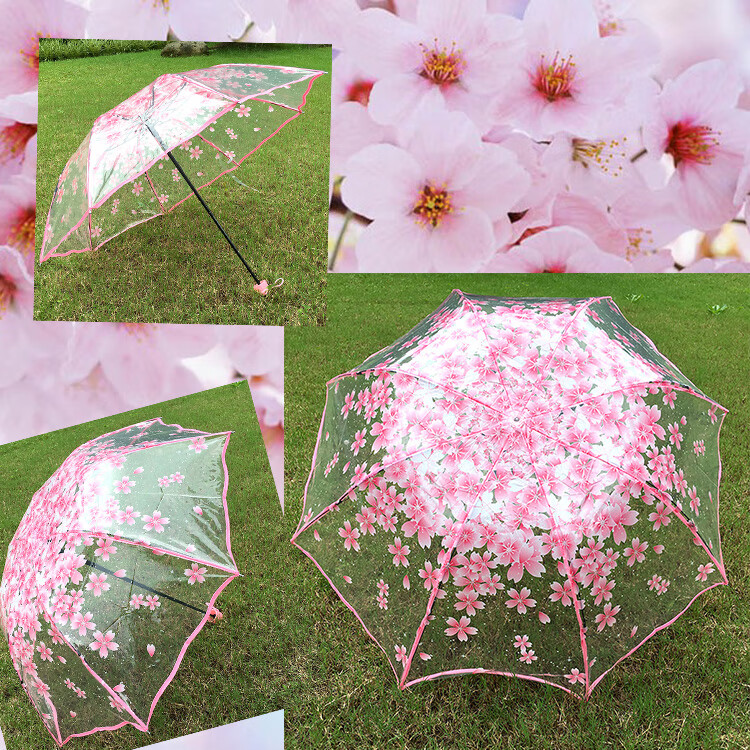 浪漫樱花小清新三折雨伞学生创意女生公主唯美加厚 粉樱花透明三折伞