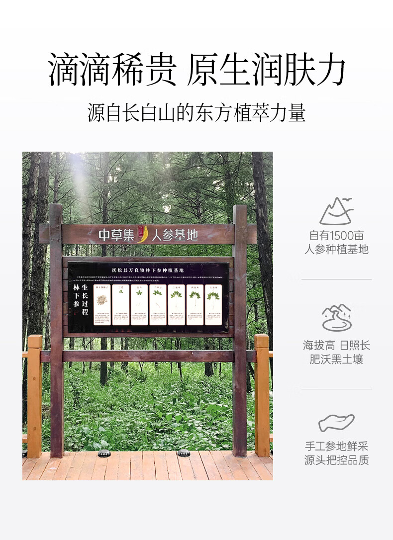 中草集人参籽舒缓修护润肤油30ml 面部精华舒缓肌肤修护水润