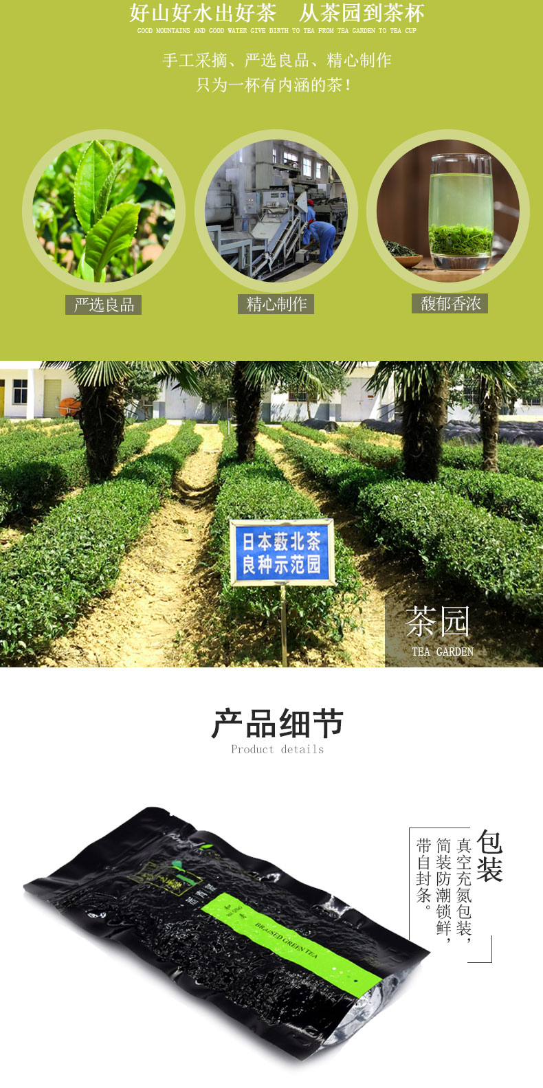 新林玉露蒸青绿茶信阳高山茶叶和清100g盒装
