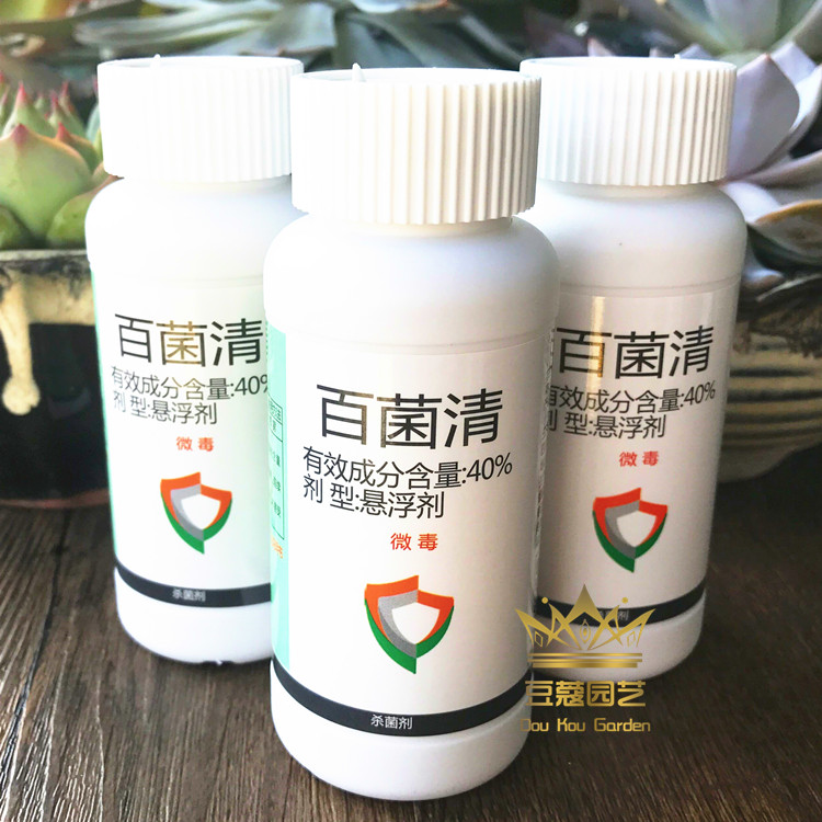 百菌清多菌灵霜霉病白粉病烟霉病土壤消毒剂兰花植物杀菌剂100g