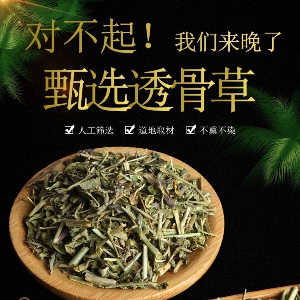 透骨草中药材伸筋草透骨草粉泡脚中药透骨草珍珠透骨草有仁堂500克