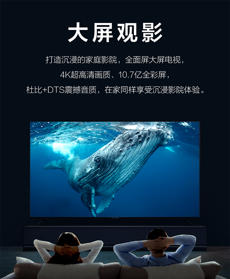 FFALCON 雷鸟电视雀4 55英寸4K超高清超薄金属全面屏彩电 AI智能语音网络液晶平板电视机 雀4系列