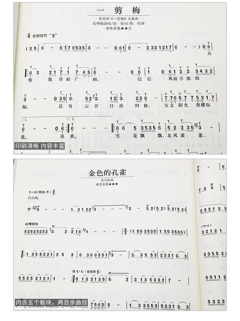 书教材葫芦丝乐曲谱子书流行歌曲简谱入门初学者自学书经典中外国民